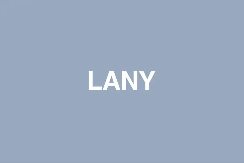 グレーがかったブルーの背景に白文字で「LANY」と記されたシンプルなロゴ画像